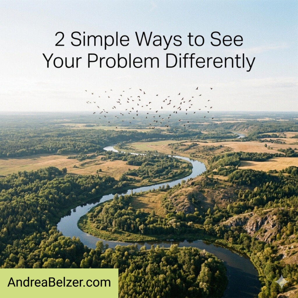 A high-angle aerial view of a lush green landscape with a winding river cutting through it under a bright blue sky. A large flock of birds flies above the trees, and bold black text at the top reads "2 Simple Ways to See Your Problem Differently.